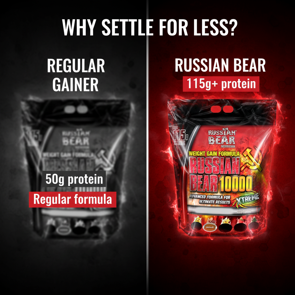 Russian Bear Comparison
